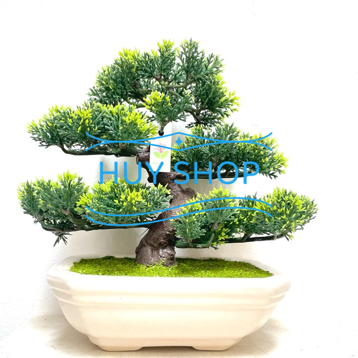 CHẬU TÙNG KIM NHÂN TẠO ĐỂ BÀN 23x25CM SỐ 1