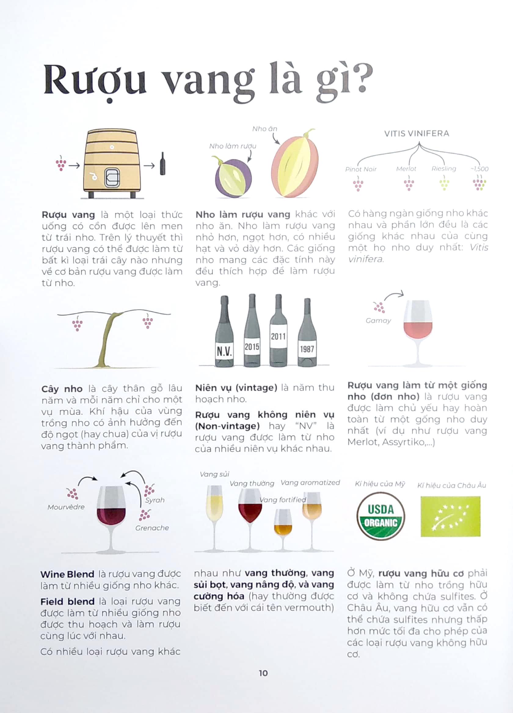 Wine Folly Toàn Tập - Phiên Bản Magnum - Bìa Cứng (Tái Bản 2023)