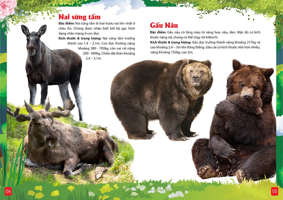 Khám Phá Động Vật 5 Châu - Châu Âu