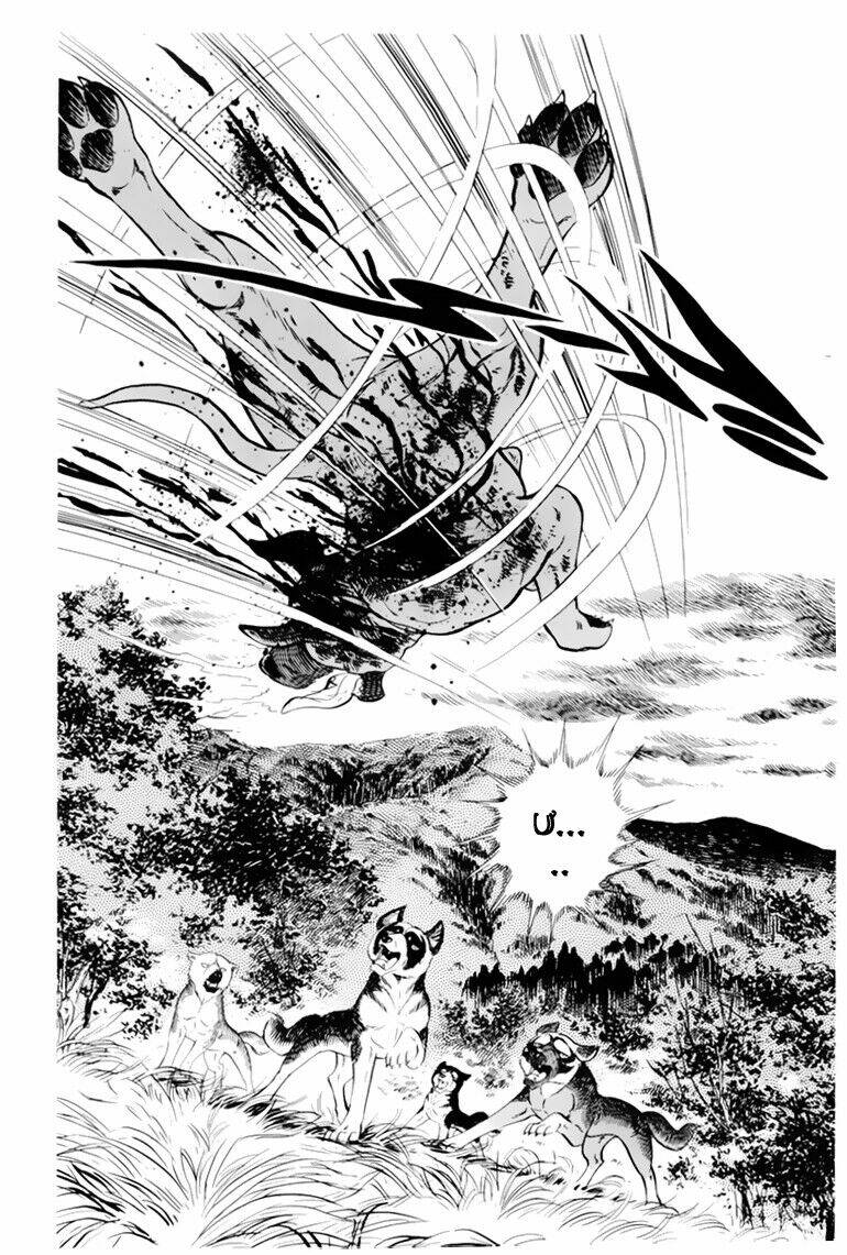 chú chó có nghĩa - ginga nagareboshi gin chapter 32 2