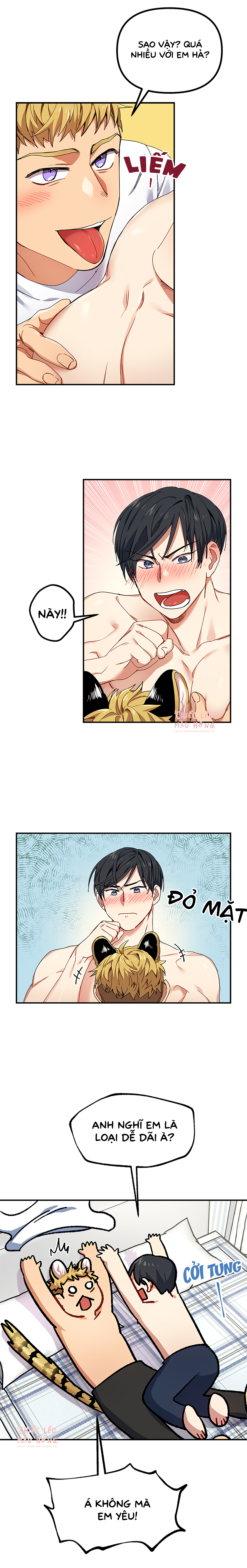 ngày cưới của ngài hổ chapter 3 3