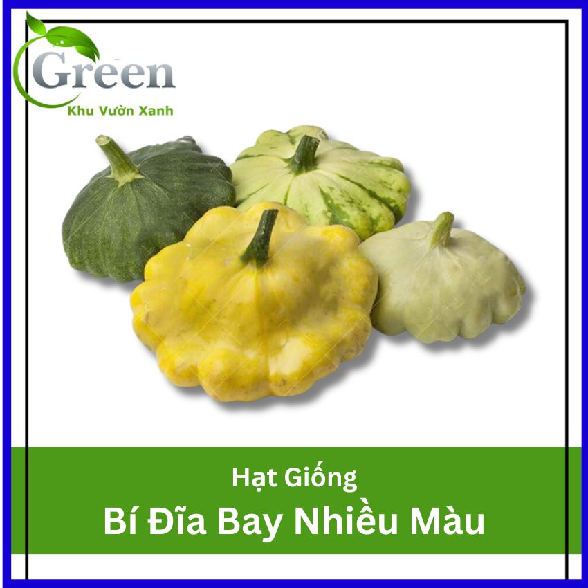 Hạt Giống Bí Đĩa Bay Mix