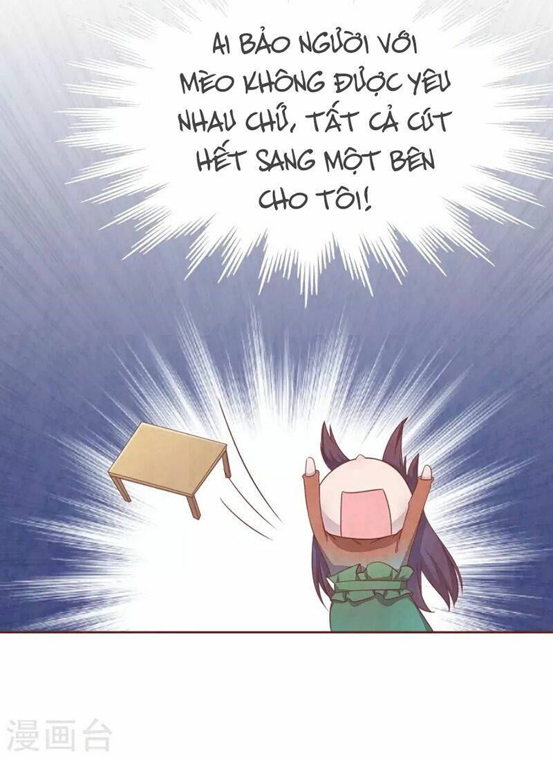 đào tạo nuôi dưỡng bạn trai mèo chapter 47 19