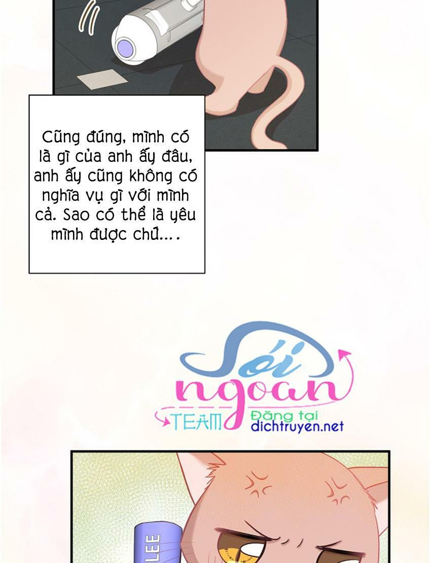 cuộc sống kỳ thú chapter 17 5