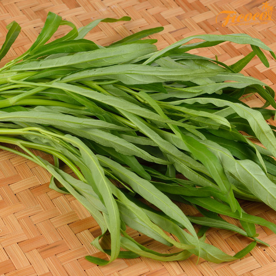 HẠT GIỐNG RAU MUỐNG LÁ TRE RADO 12