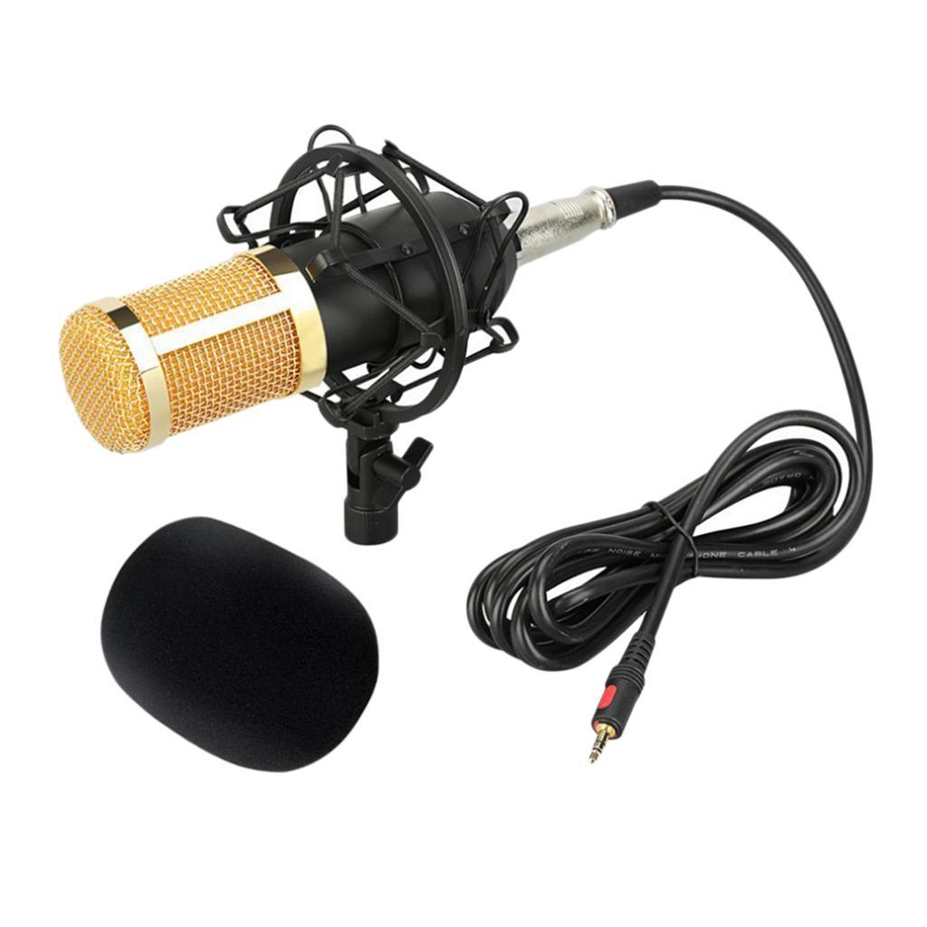 Condenser Microphone Large Diaphragm MIC for Broadcasting/Studio Recording