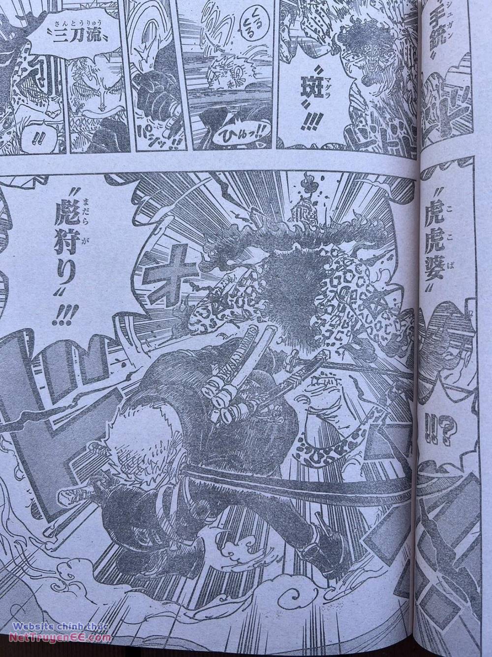 đảo hải tặc - one piece chapter 1110 5