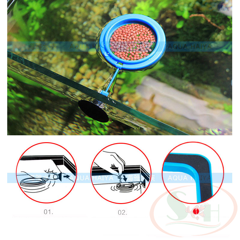 Hình ảnh Vòng nổi cho cá ăn Feeding Ring giữ thức ăn cám tầng mặt bể cá thủy sinh