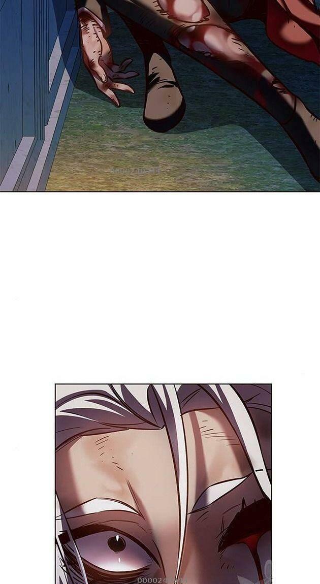 biến thân thành mèo chapter 216 49