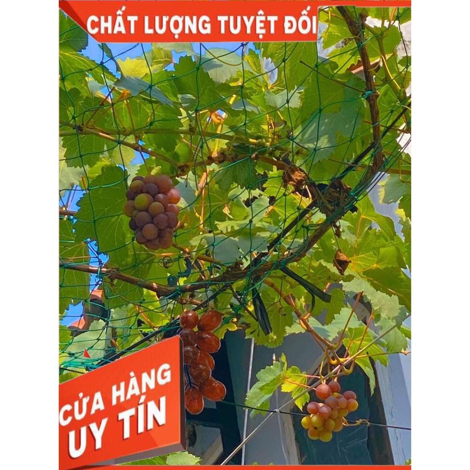 Lưới trồng nho / Lưới trồng cây leo giàn 2 màu 