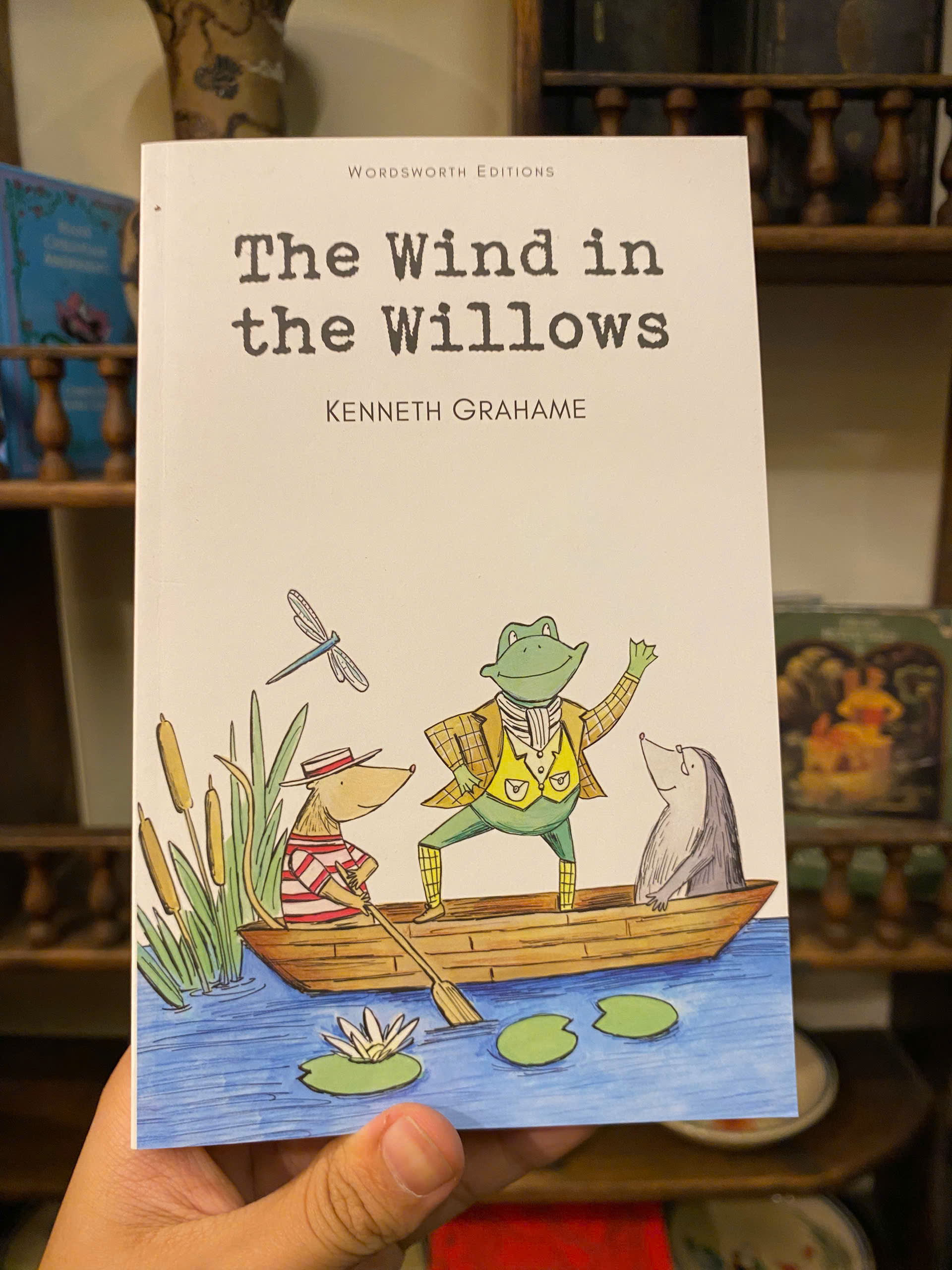Sách - The Wind in the Willows by Kenneth Grahame - Fiction/Children book in English - Ngoại Văn