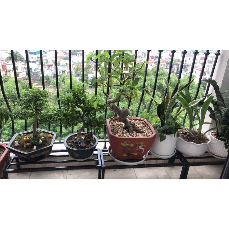 Kệ kê đồ,chậu hoa, cây cảnh, chậu rau Ban công Sân thượng, Rộng:25cm;Dài:70cm. hộp thép 2x2cm