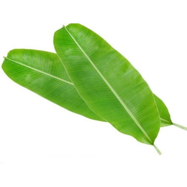 Lá chuối tươi