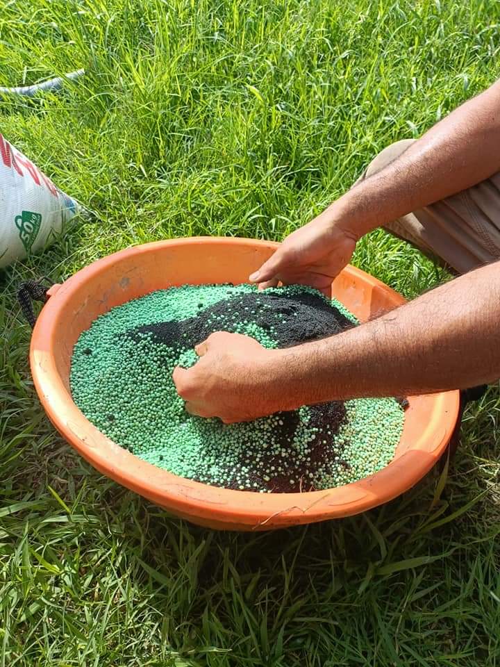 PHÂN BÓN VI LƯỢNG BLACK HUMIXX - RA RỄ, DƯỠNG CÂY, HẠ PHÈN, GIẢM MẶN - GÓI 1KG