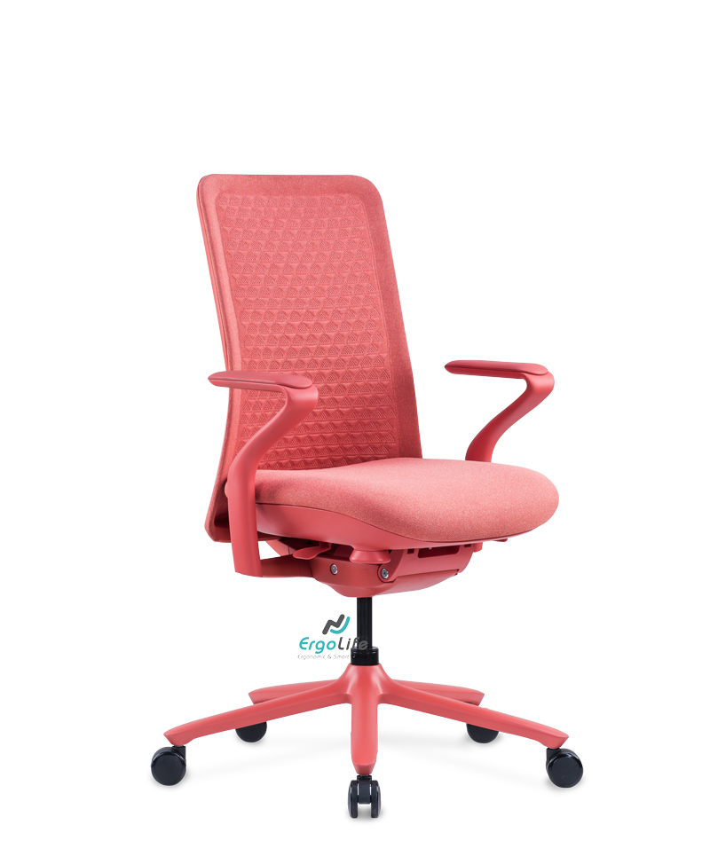 Ghế Công Thái Học Goodtone Poly - Bảo Hành 5 Năm