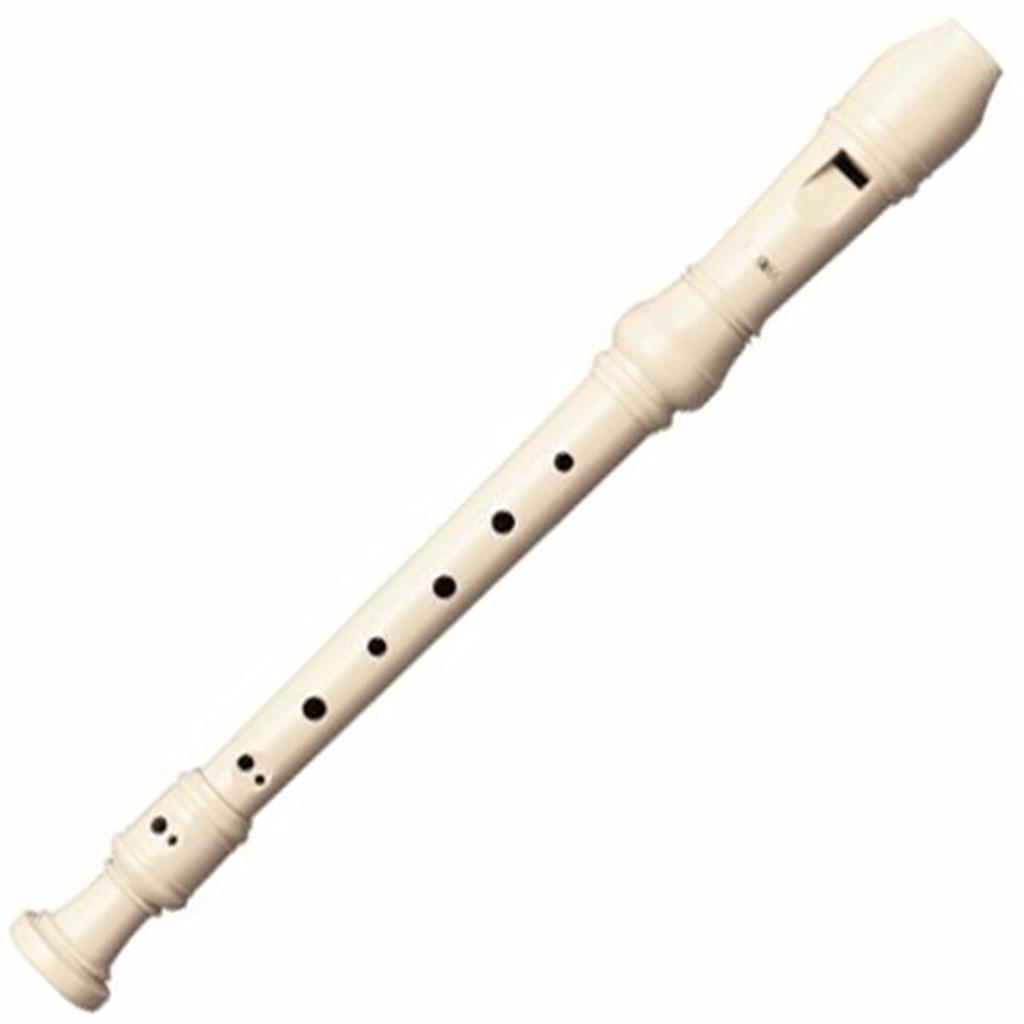 Sáo Dọc Recorder Cao Cấp Ngậm Thổi Được Luôn ( Free Ship )