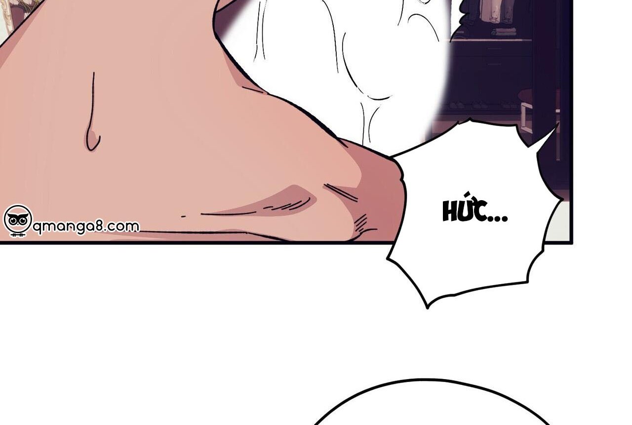 chàng dâu nhà họ kang chapter 46 62