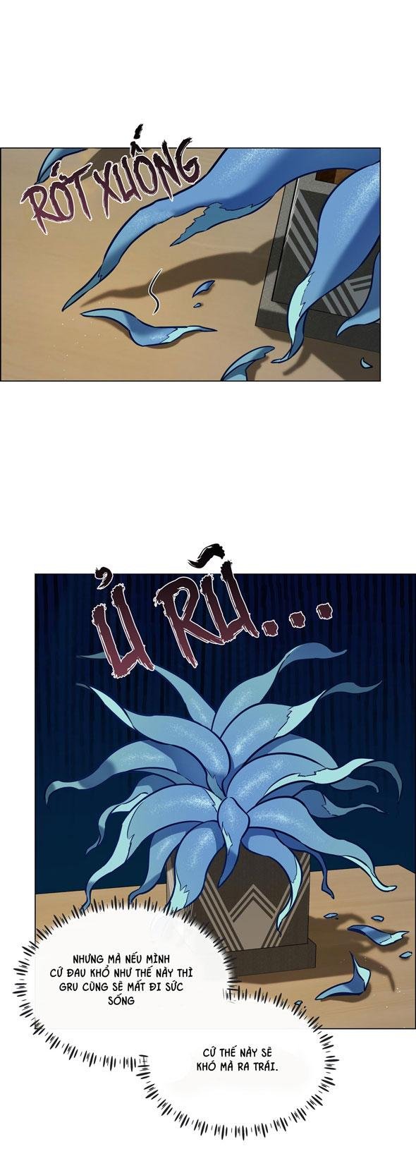 thực vật trị liệu chapter 6 5