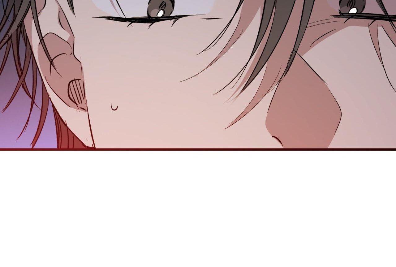 những chú thỏ của hapypy chapter 58 154