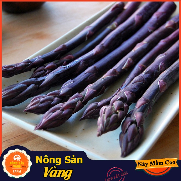 Hạt giống Măng Tây Tím - Nông Sản Vàng