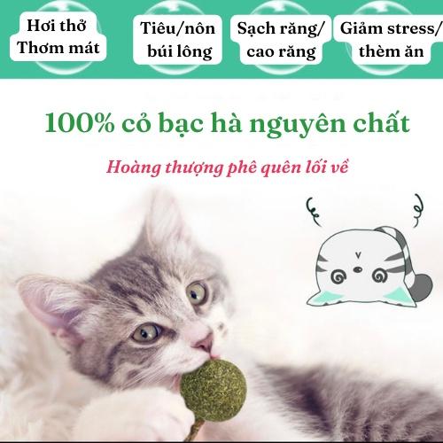 Que Catnip/cỏ mèo/cỏ bạc hà Masti -giúp mèo giảm stress, tiêu búi lông