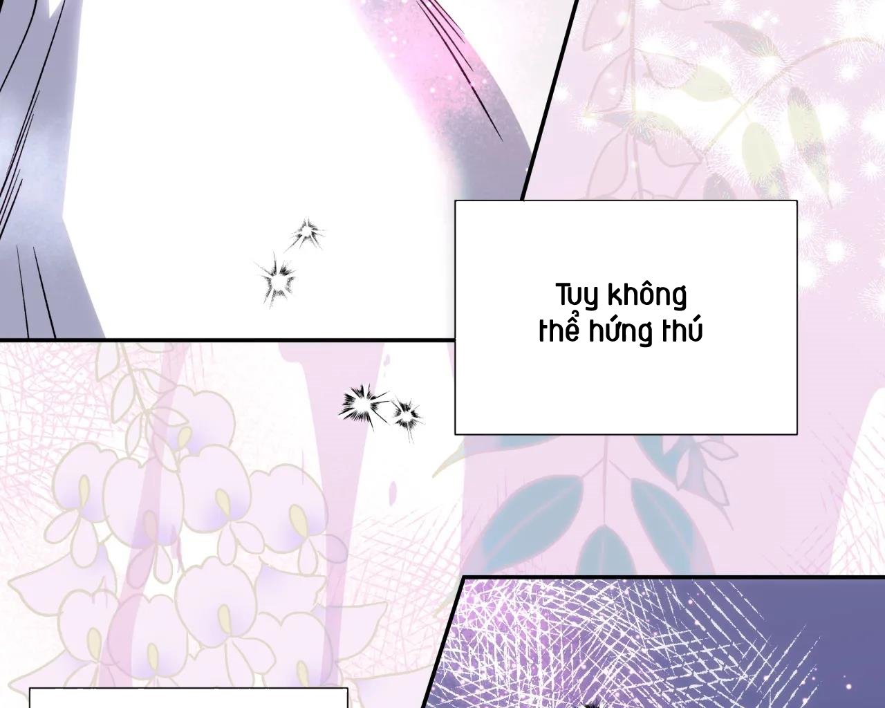 ám ảnh pheromone chapter 65 72