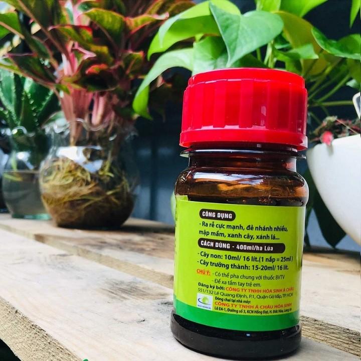 ACROOTS 10SL- NAA Siêu Kích Rễ - 100ml