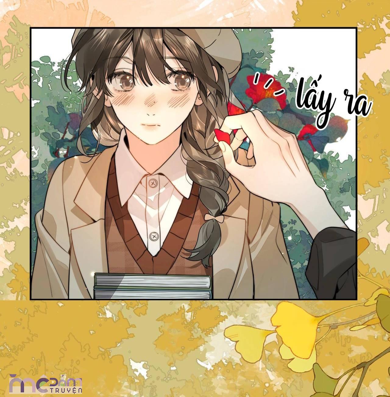 gặp em hóa si tình chapter 20 24