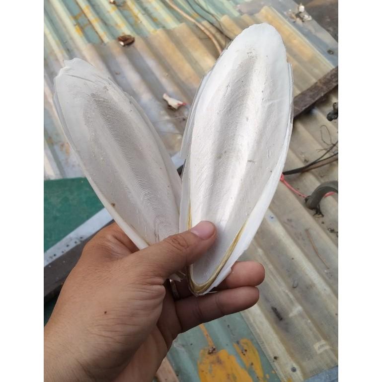 1 CÁI NAN MỰC NGUYÊN VẸN ĐA CÔNG DỤNG