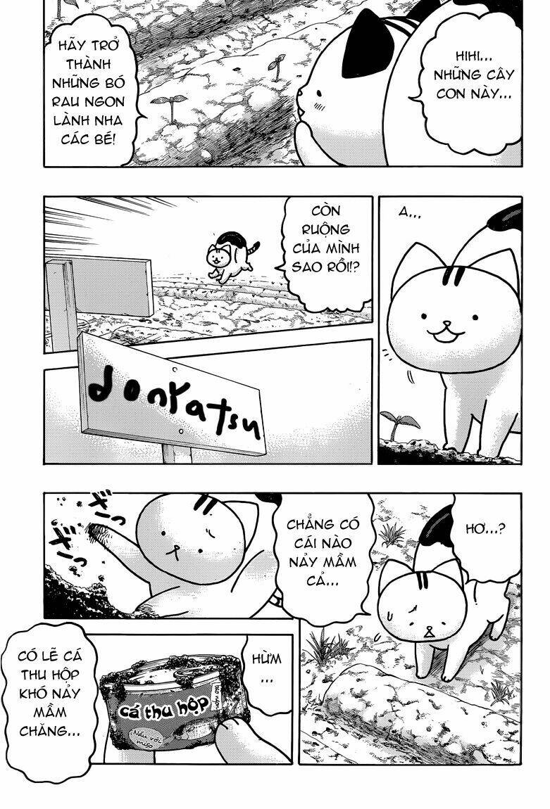 donyatsu chapter 35 11