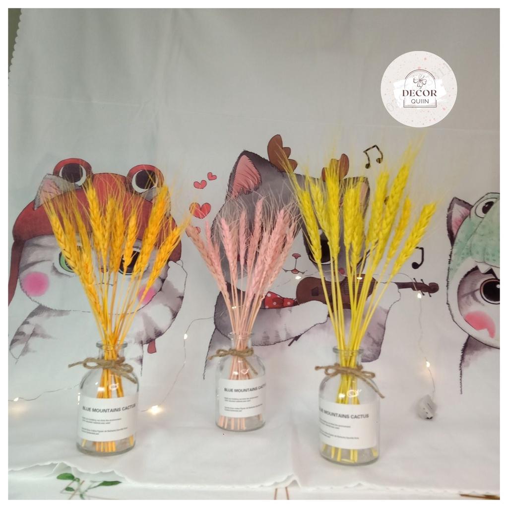 Lọ hoa để bàn️lúa mạch khô15 bông hoa khô trang trí quán cafe decor decor phòng quán trà sữa trang trí shop thời trang