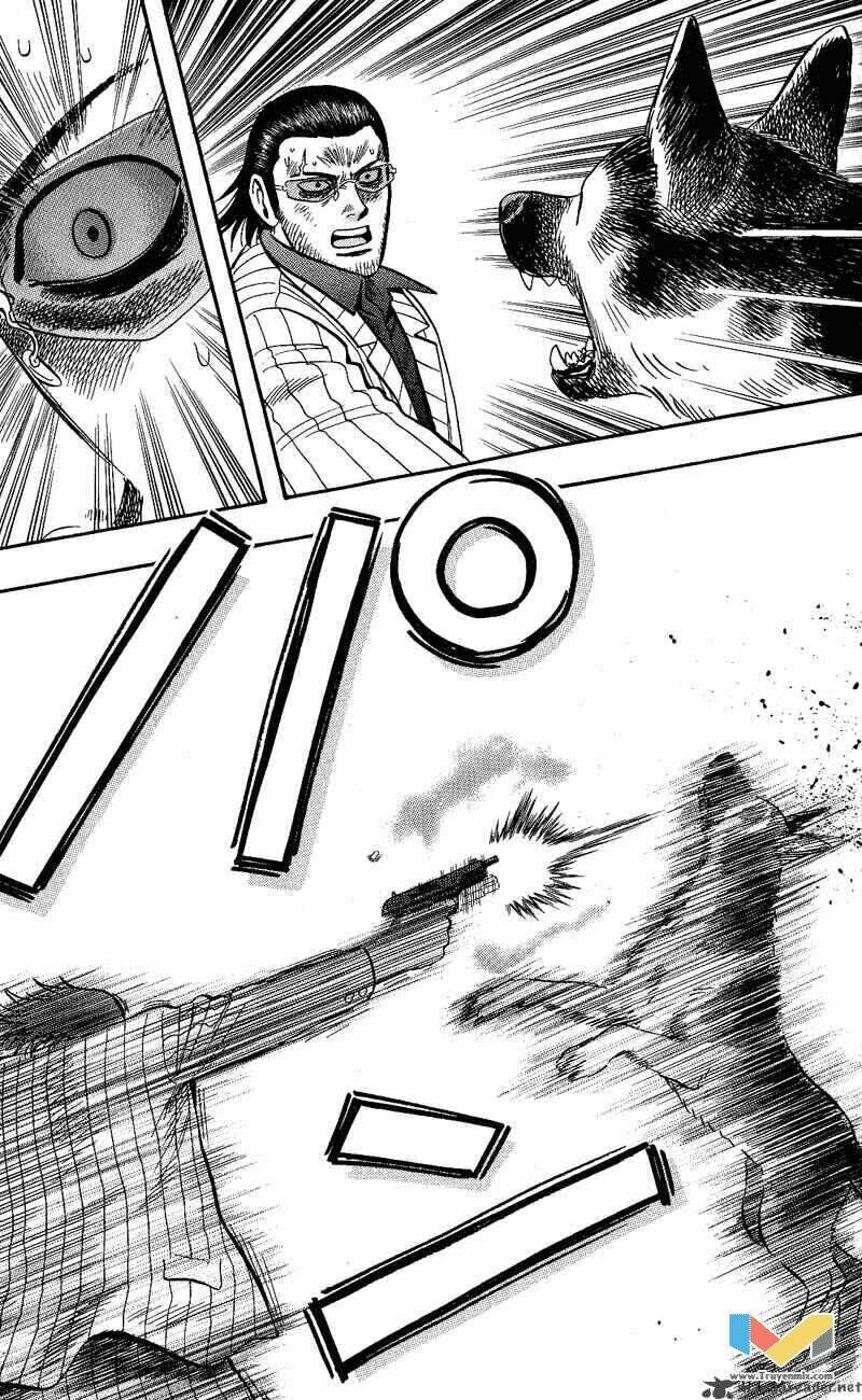 animal sense chapter 13 19