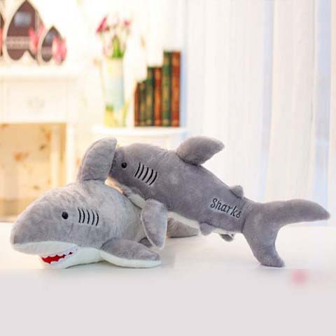 Cá mập bông Sharks