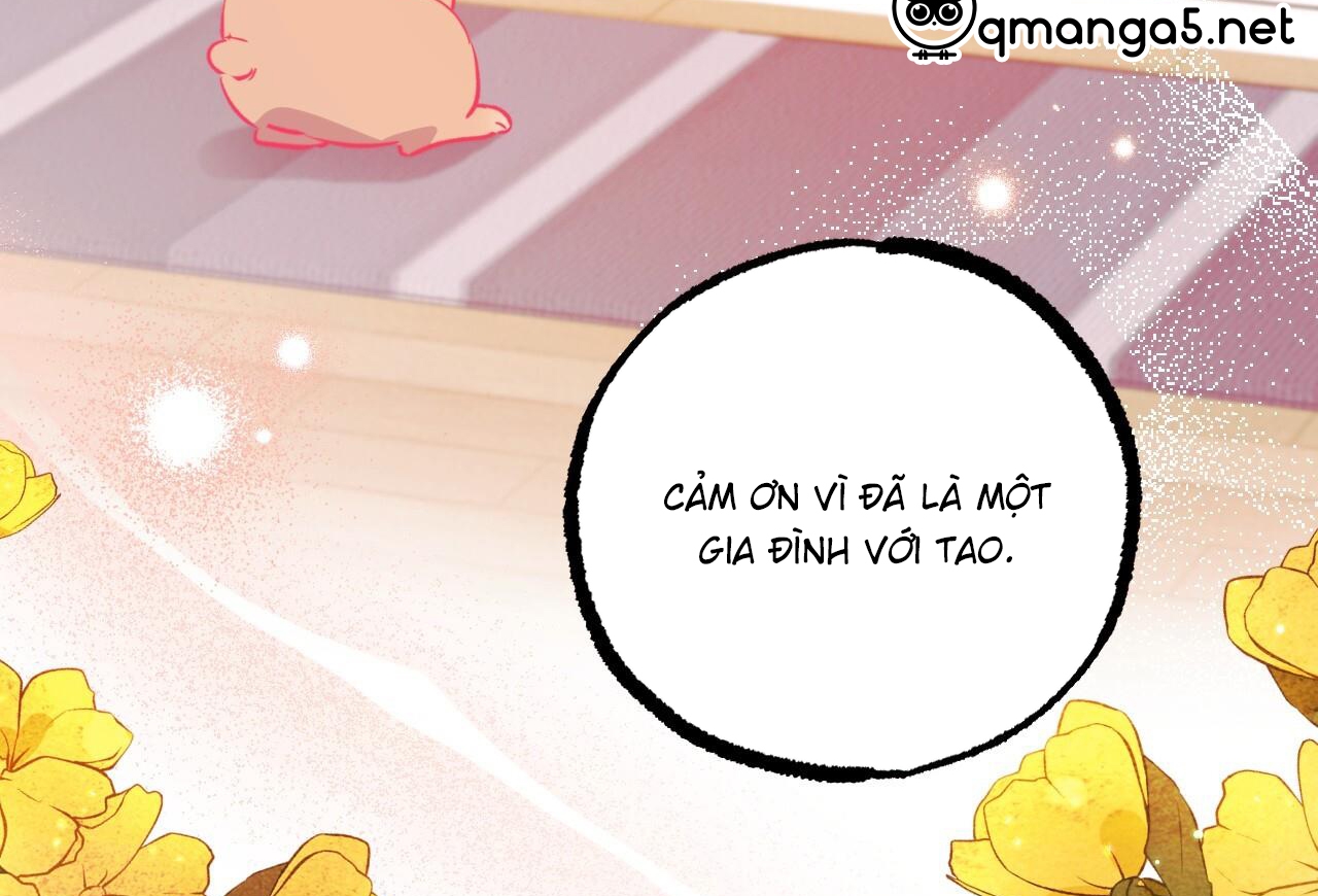 đàn thỏ của habibi chapter 65 211