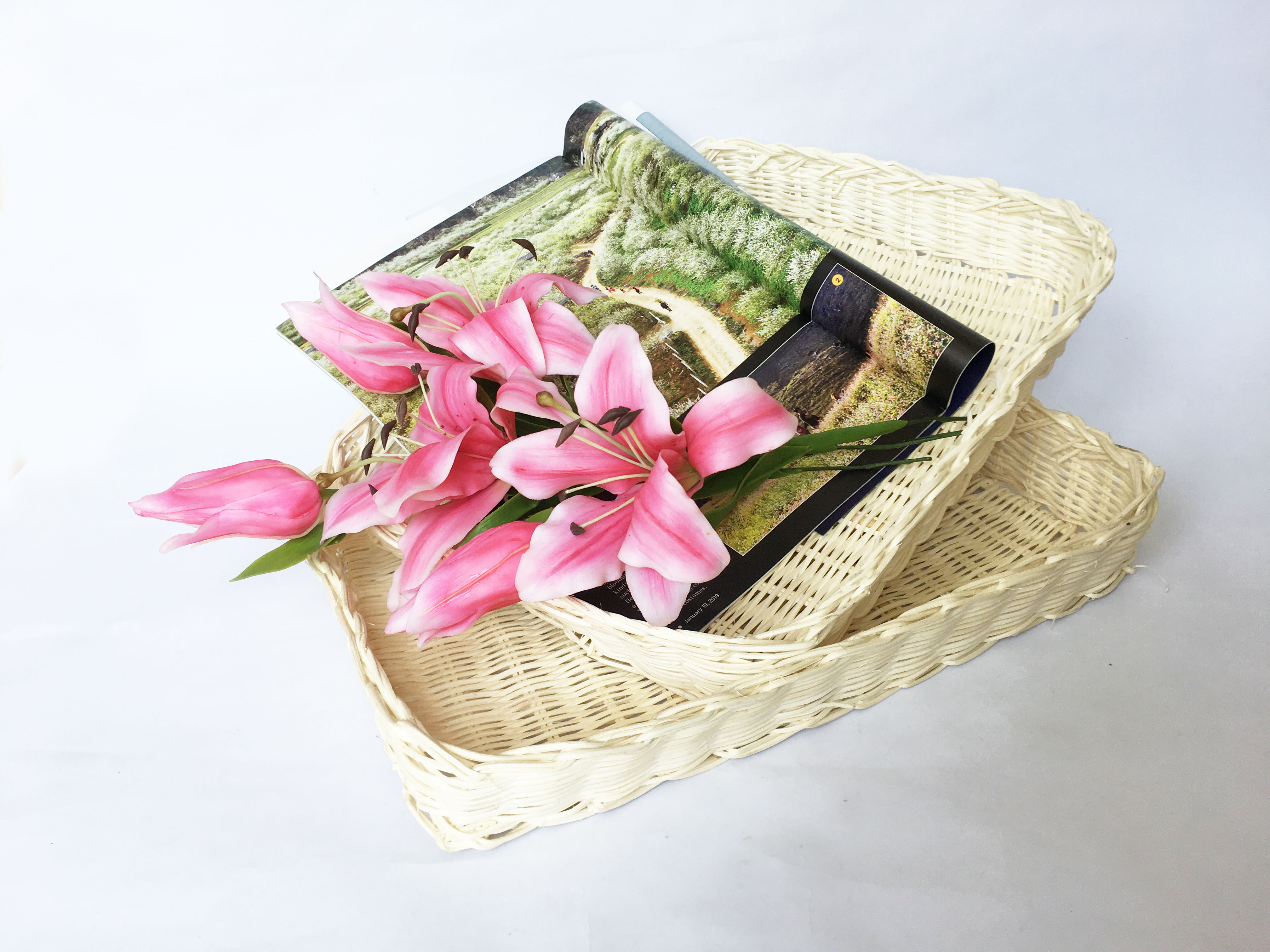 Khay mây đan bằng mây tự nhiên Khay chữ nhật KT D32xR22xC5.5cm đựng đồ, decor, trang trí bằng mây