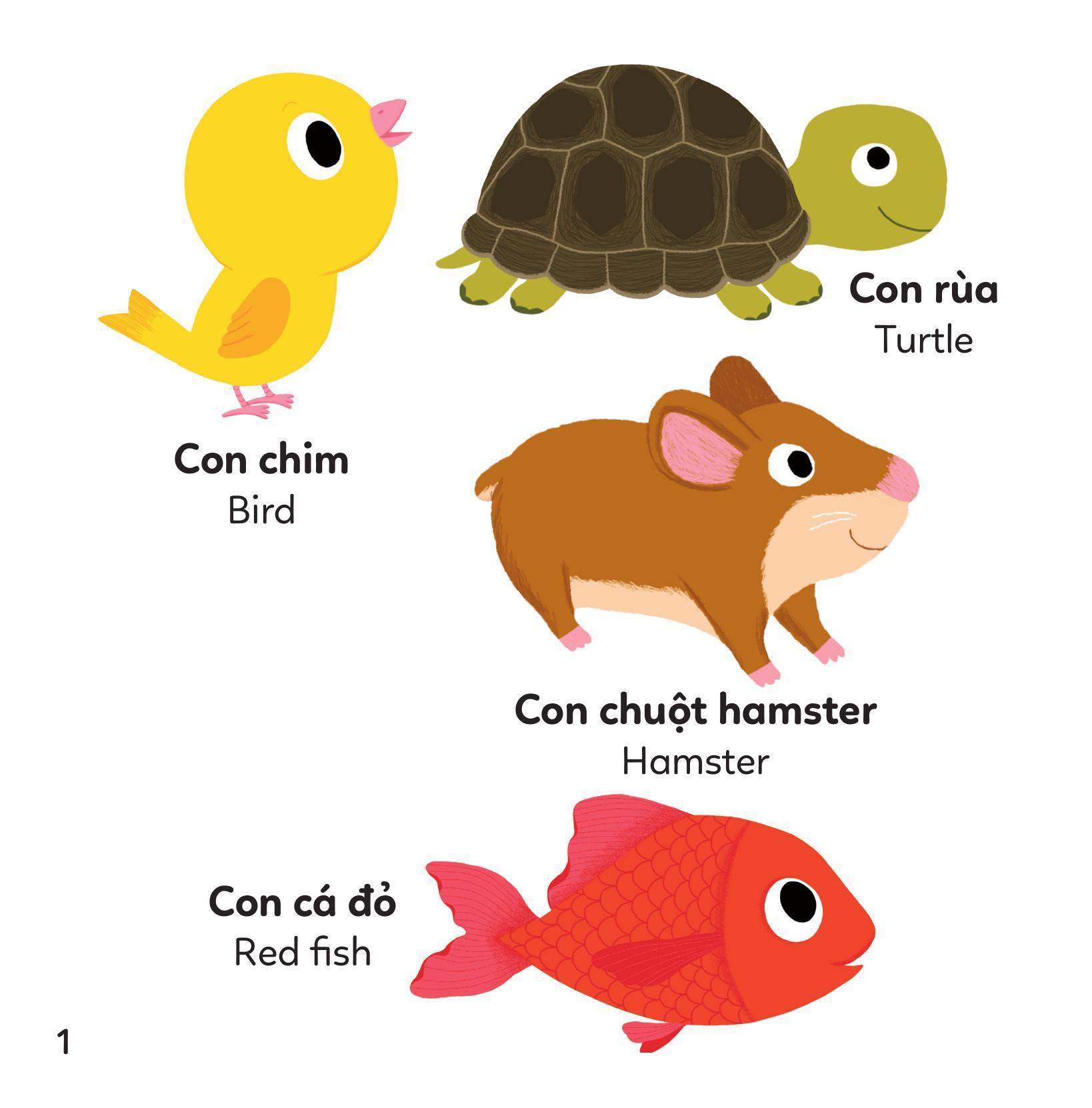 Sách - Xoay Xoay Xoay Đi Tìm - Động Vật - Bìa Cứng