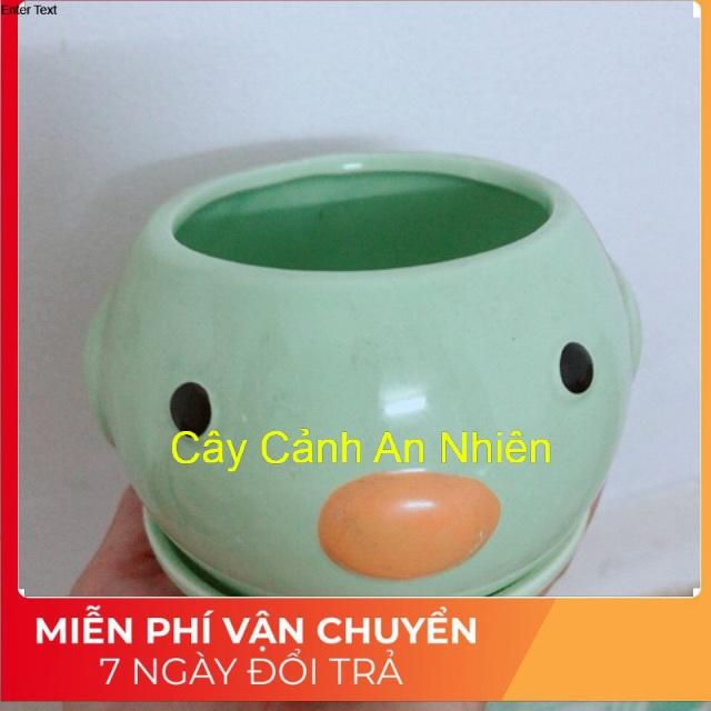 Chậu Thú Trồng Cây