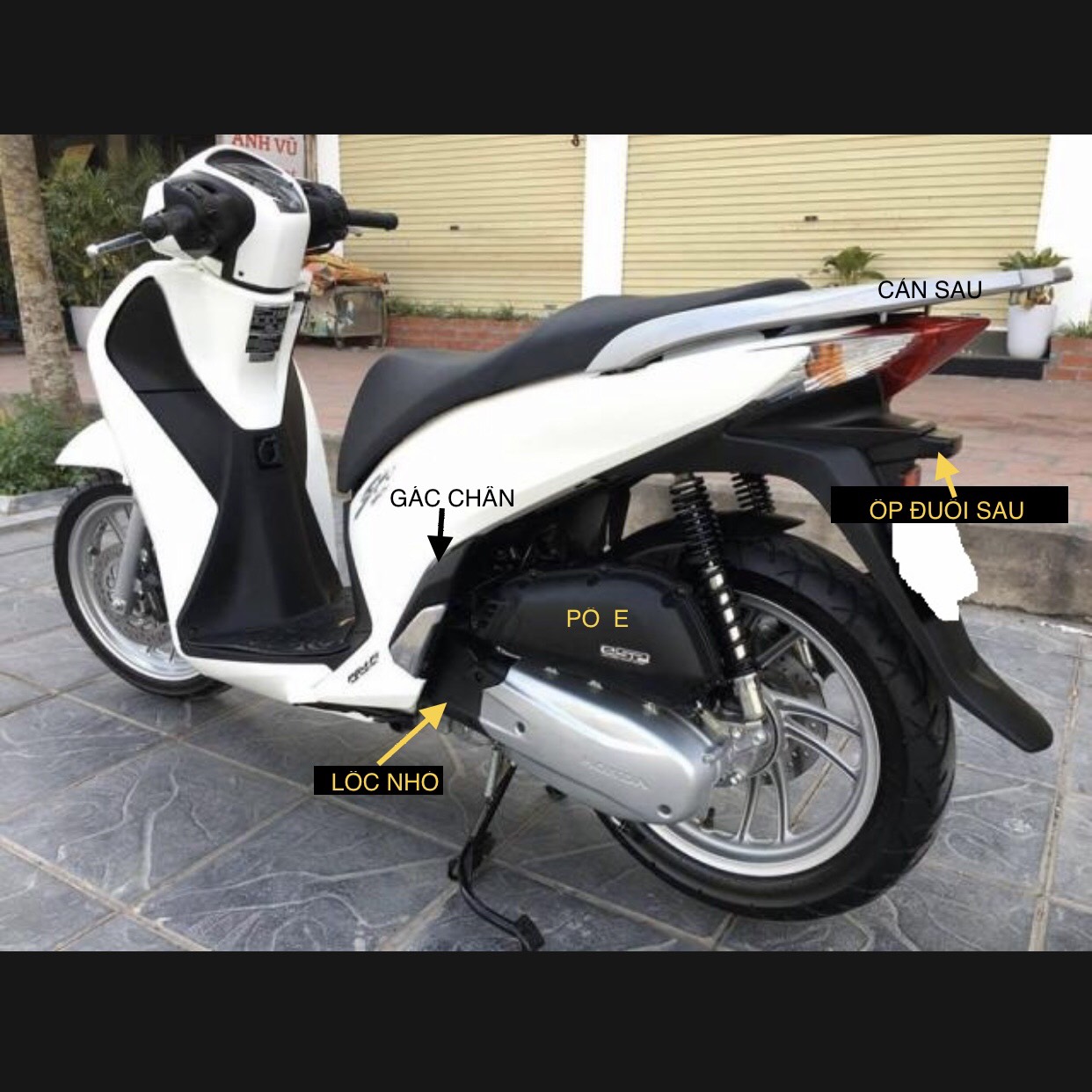 ỐP BẦU E DÙNG CHO ĐỜI XE SH 2012 2013 2014 2015 2016 CACBON