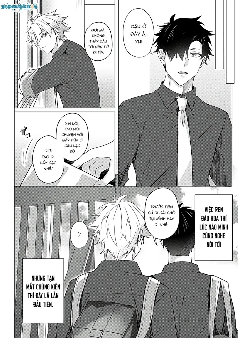 xin lỗi! cậu ấy là của tôi chapter 1 22