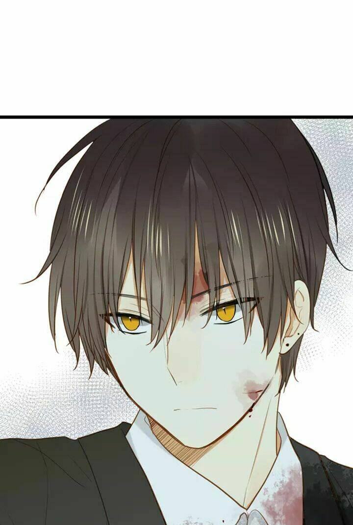 điều giáo quan hệ chapter 26 28