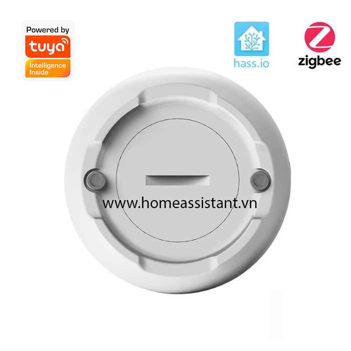 Cảm Biến Báo Động Rò Rỉ Nước Tràn Zigbee Tuya ZHS01