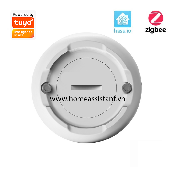 Cảm Biến Báo Động Rò Rỉ Nước Tràn Zigbee Tuya ZHS01 (Hỗ trợ Home Assistant)