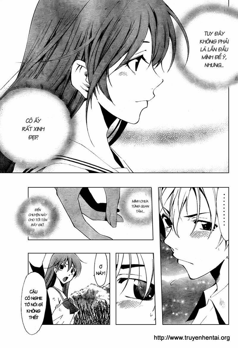 thị trấn tình yêu chapter 51 13