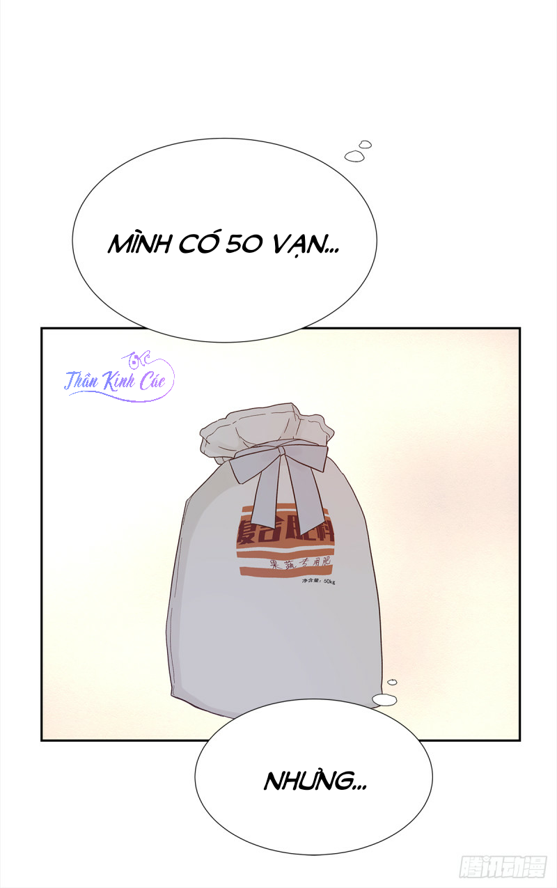 mối tình đầu gian nan của chu thành nhất chapter 28 11