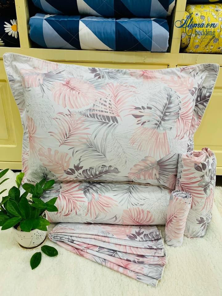 Bộ Ga Gối Cotton Hàn Quốc Xịn