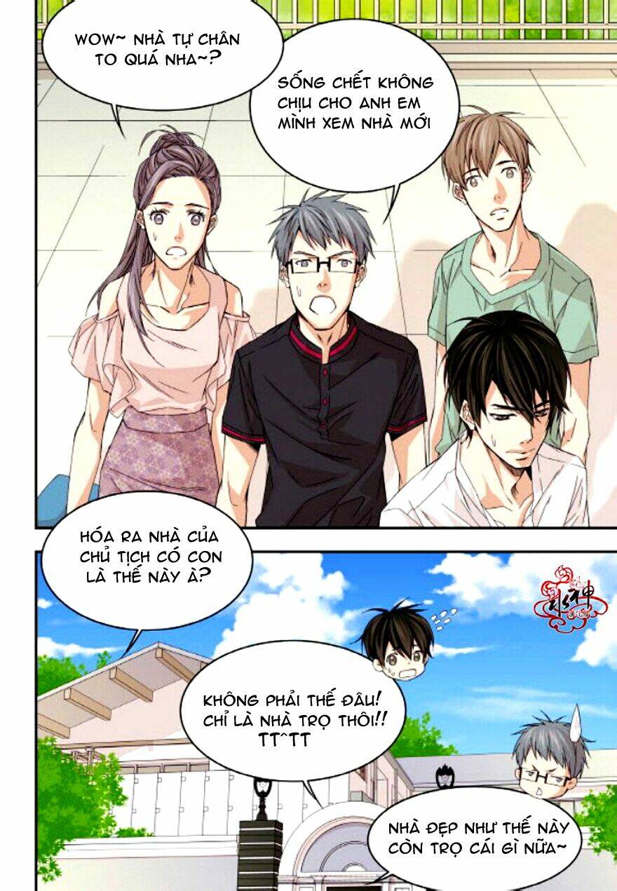 baba muốn xuất giá chapter 19 3