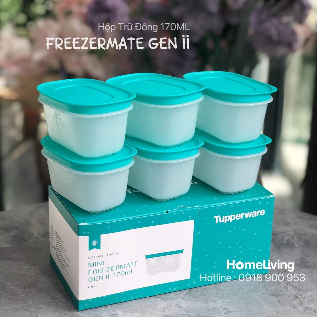 Bộ Trữ Đông Tupperware Mini Freezermate Gen II 170ml (6)