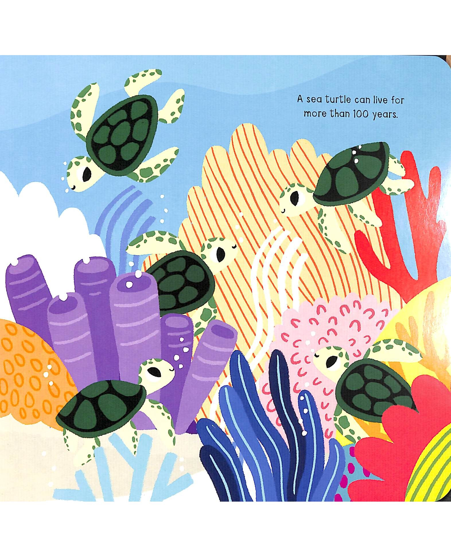 My Little Ocean Explorer: Mirror Book