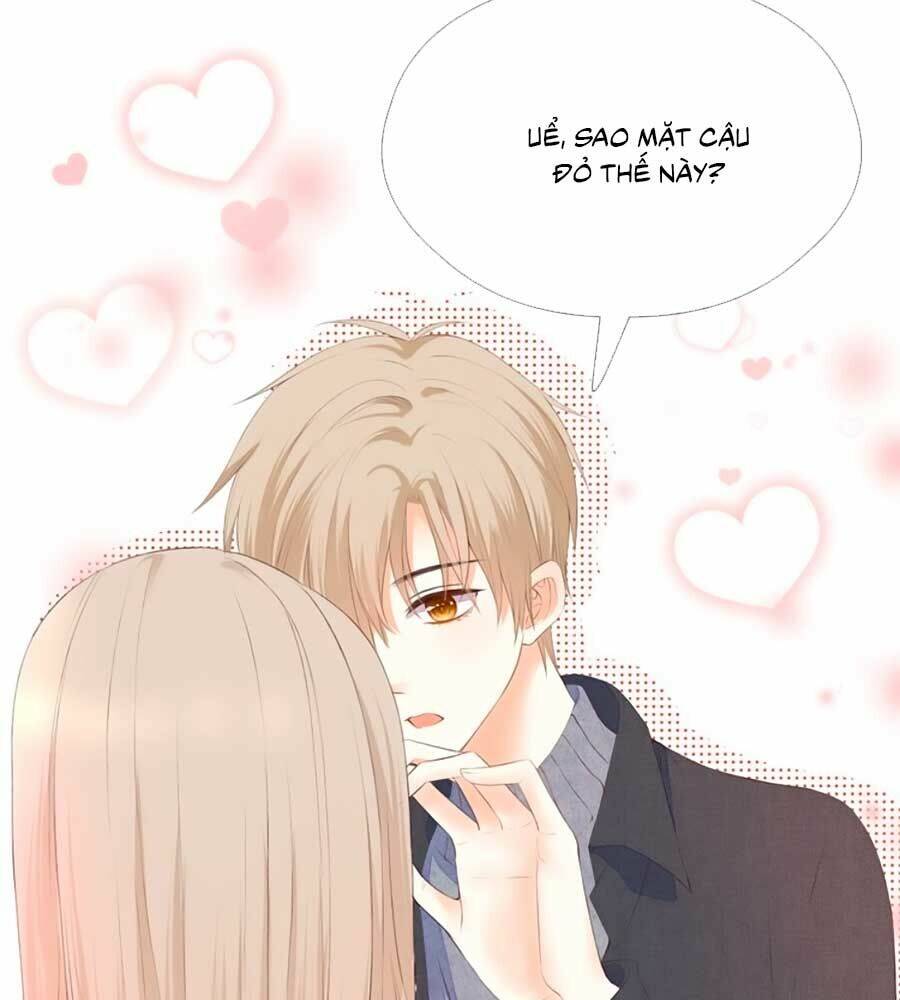 đóa hoa chớm nở chapter 65 25