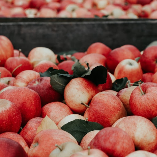 Chiết xuất táo có tác dụng kích thích sản sinh collagen